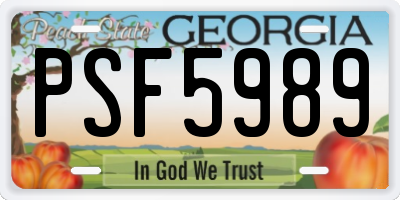 GA license plate PSF5989