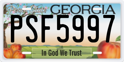 GA license plate PSF5997