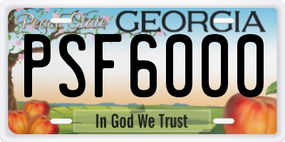 GA license plate PSF6000