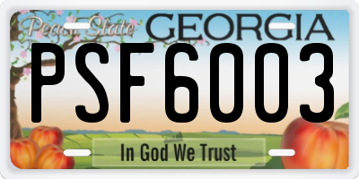 GA license plate PSF6003