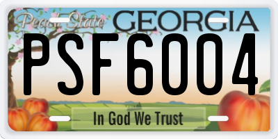 GA license plate PSF6004