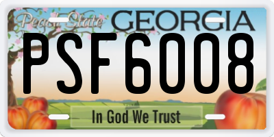 GA license plate PSF6008