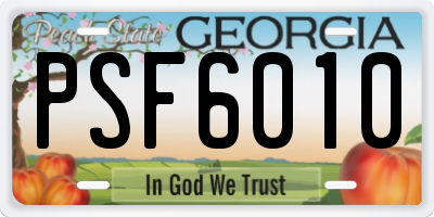GA license plate PSF6010