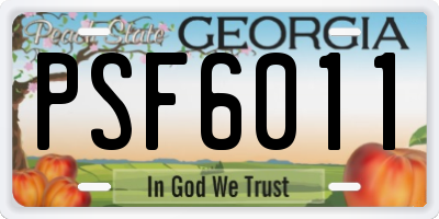 GA license plate PSF6011