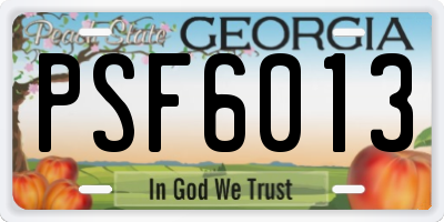 GA license plate PSF6013