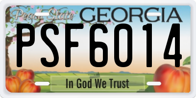 GA license plate PSF6014