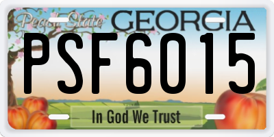 GA license plate PSF6015