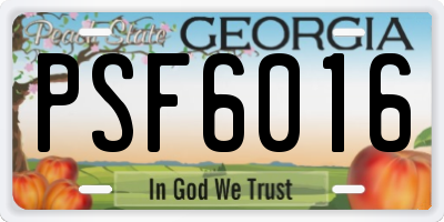 GA license plate PSF6016