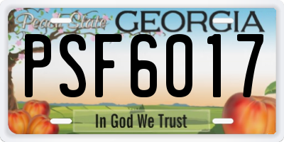 GA license plate PSF6017