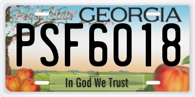 GA license plate PSF6018