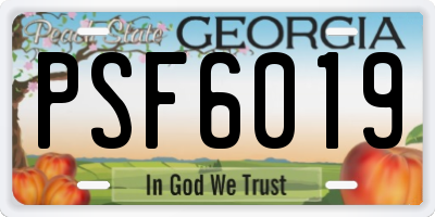 GA license plate PSF6019