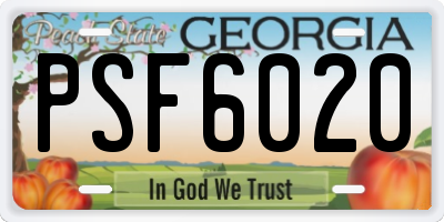 GA license plate PSF6020