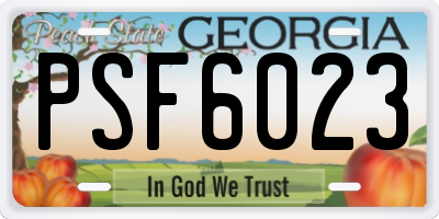 GA license plate PSF6023