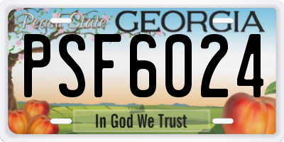 GA license plate PSF6024