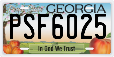 GA license plate PSF6025