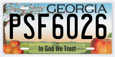 GA license plate PSF6026