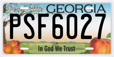 GA license plate PSF6027