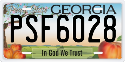 GA license plate PSF6028