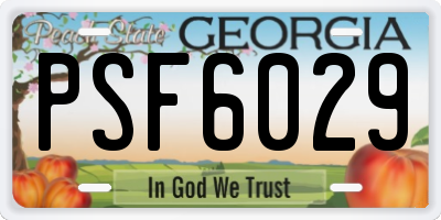 GA license plate PSF6029