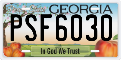 GA license plate PSF6030