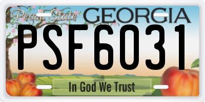 GA license plate PSF6031