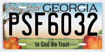 GA license plate PSF6032