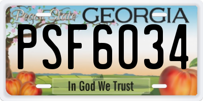GA license plate PSF6034