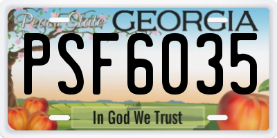 GA license plate PSF6035