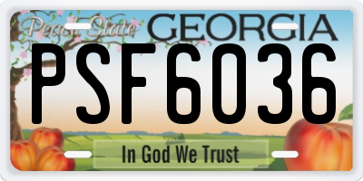 GA license plate PSF6036