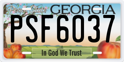 GA license plate PSF6037