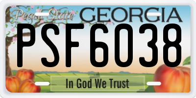 GA license plate PSF6038