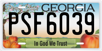 GA license plate PSF6039
