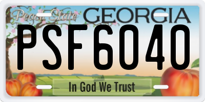 GA license plate PSF6040