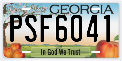 GA license plate PSF6041
