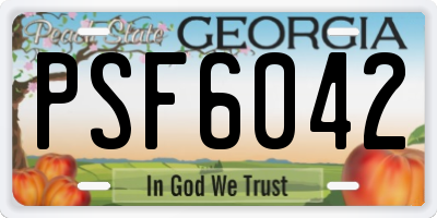 GA license plate PSF6042