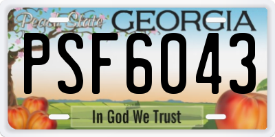 GA license plate PSF6043