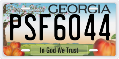 GA license plate PSF6044
