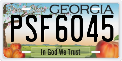 GA license plate PSF6045