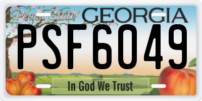 GA license plate PSF6049