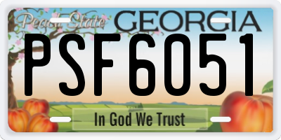 GA license plate PSF6051