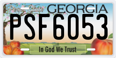 GA license plate PSF6053