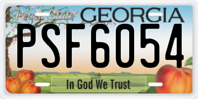 GA license plate PSF6054