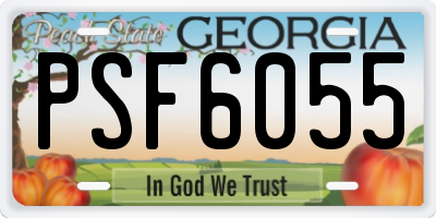 GA license plate PSF6055