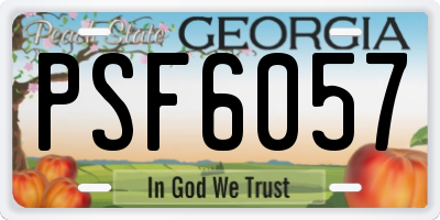 GA license plate PSF6057