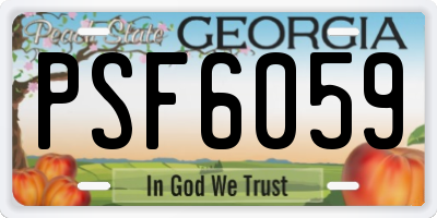 GA license plate PSF6059