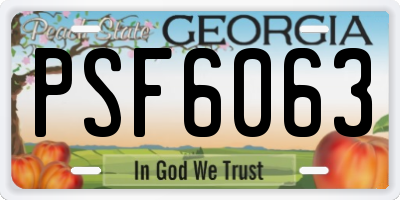 GA license plate PSF6063