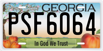 GA license plate PSF6064