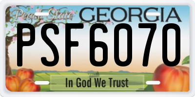 GA license plate PSF6070