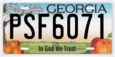 GA license plate PSF6071