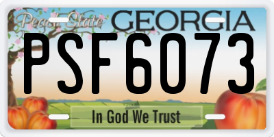 GA license plate PSF6073